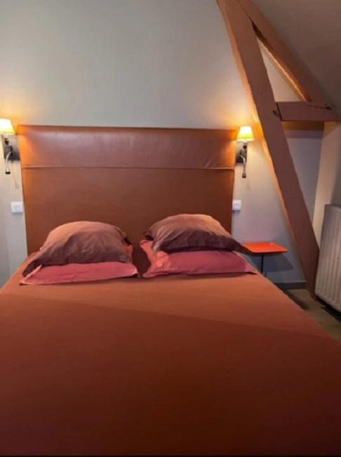 La Demeure De L'Ile Bed & Breakfast Craon  Bagian luar foto